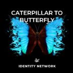Caterpillar to Butterfly (Instrumental Music MP3) by Identity Network